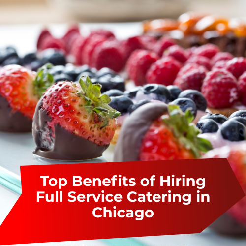 expert seo services, festivals in the Philippines, real estate in Utah, full service catering